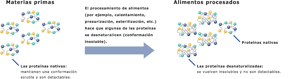 Los alimentos procesados contienen una mezcla de proteínas nativas y desnaturalizadas