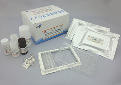 Mouse / Rat Leptin ELISA Kit
