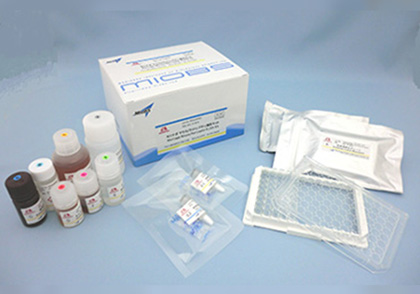 Mouse / Rat Leptin ELISA Kit