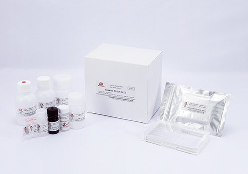 Sesame ELISA KitⅡ is sandwich enzyme immunoassay for the quantitative determination of sesame protein in processed or unprocessed foods.<br>Our original extraction solution enables target protein to solubilize even though it was insolubilized by food processing.<br>The extraction solution is identical for all of our ELISA KitⅡ.<br>An extraction procedure is simple and also the same as all ELISA KitⅡ.<br><u><strong>Sesame in Big 8:</strong></u> According to the Joint FAO/WHO Expert Consultation